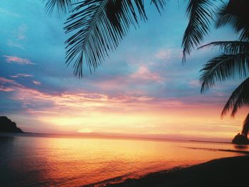 Palm tree at beach against sky during sunset