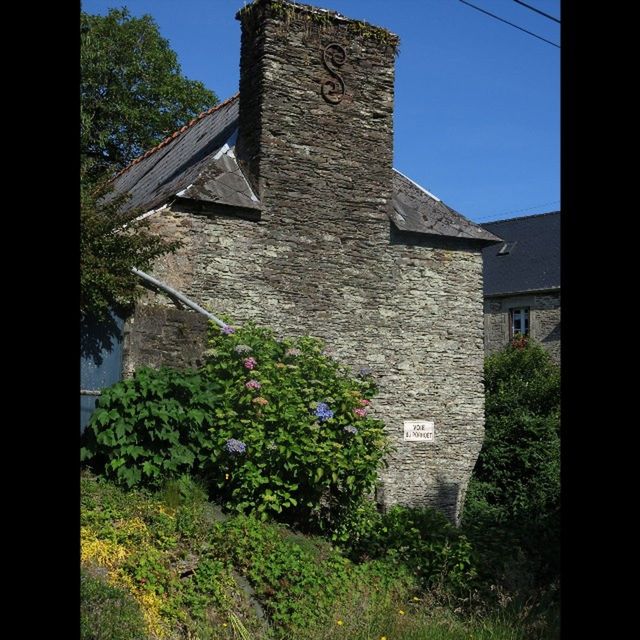 architecture, built structure, building exterior, plant, clear sky, blue, sky, history, flower, sunlight, growth, tree, grass, day, no people, low angle view, house, outdoors, religion, shadow