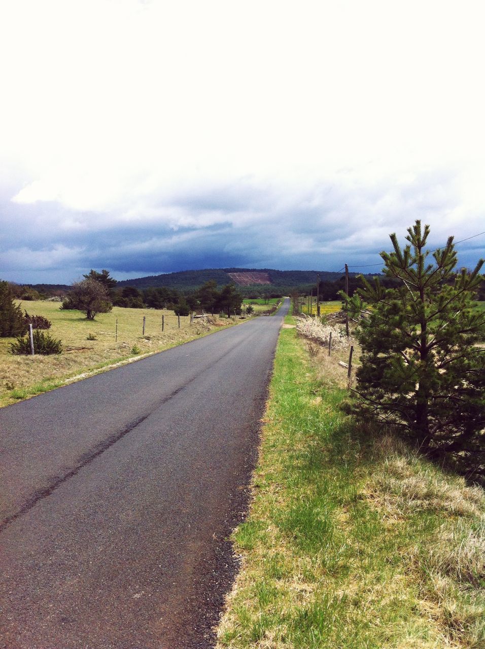 the way forward, sky, diminishing perspective, vanishing point, transportation, road, landscape, tranquil scene, tranquility, grass, cloud - sky, country road, field, dirt road, cloud, nature, empty road, long, cloudy, tree