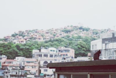 View of residential buildings