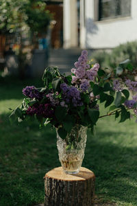 Close-up of flower pot on table