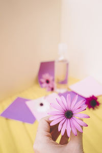 Close-up of christmas decorations on white background