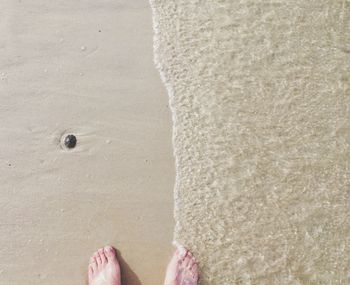 Low section of woman standing on beach