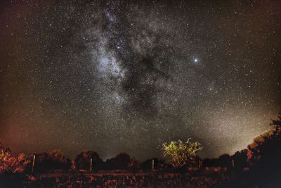 Scenic view of star field against sky at night