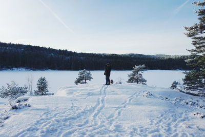 Scenic view of snow covered trees against sky