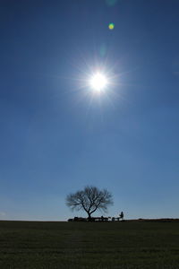 Silhouette of bare tree against sky