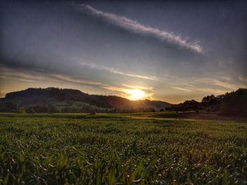 Scenic view of field against sky during sunset