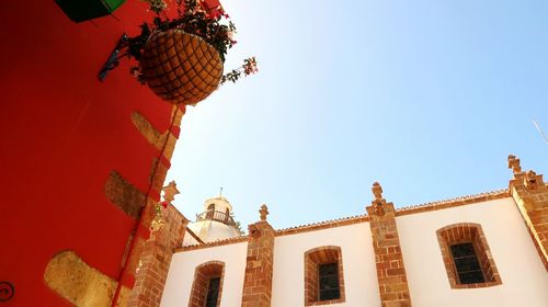 Low angle view of potted plant hanging on wall against clear sky