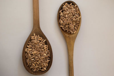 Directly above shot of chocolate cake against white background