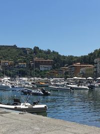 Sailboats moored at harbor against clear sky