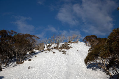 Snow covered land against sky