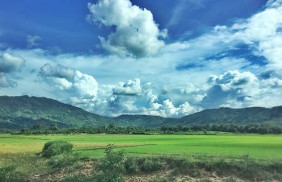 Scenic view of field against sky