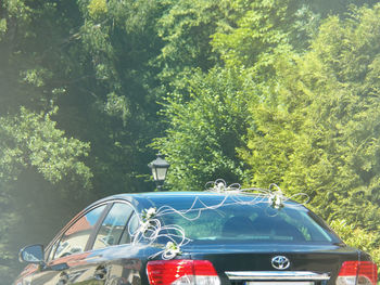 View of car on the road