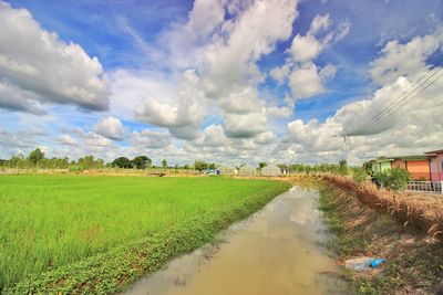 Scenic view of agricultural field against sky