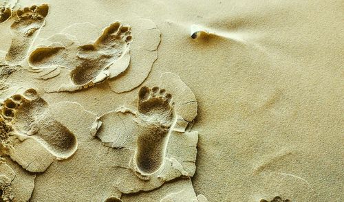 sand