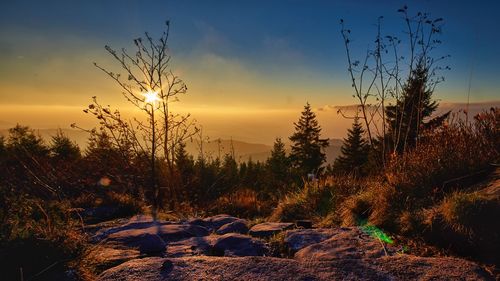 Scenic view of landscape against sky at sunset