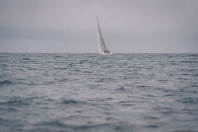 Sailboat sailing on sea against sky