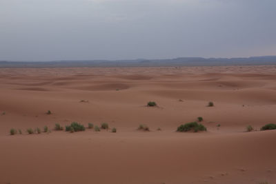 Scenic view of desert