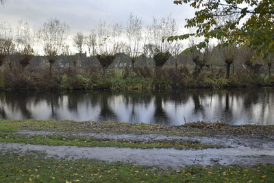 Scenic view of lake in forest against sky