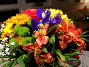 Close-up of multi colored flowers blooming outdoors