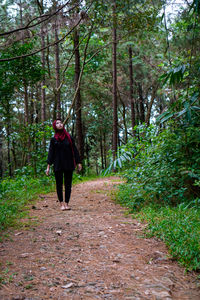 Rear view of man walking in forest