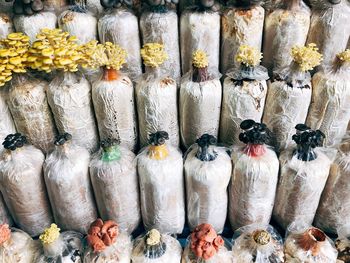 Mushrooms for sale at market stall