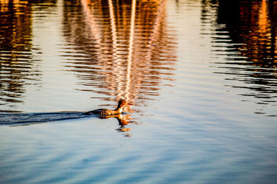 Reflection of person in a lake