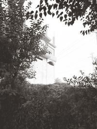 Low angle view of trees and building against sky