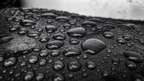 Close-up of water drops on black marble