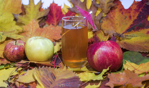 Close-up of apples growing on table