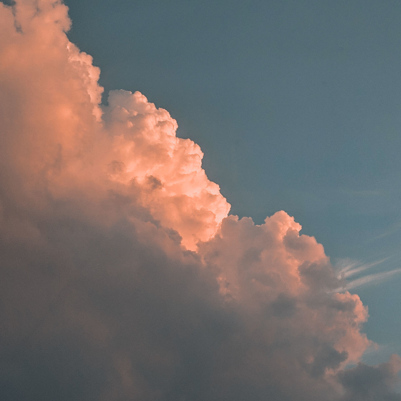 cloud - sky, sky, beauty in nature, tranquility, scenics - nature, tranquil scene, low angle view, nature, no people, idyllic, outdoors, full frame, day, sunset, backgrounds, cloudscape, copy space, softness, sunlight, fluffy, meteorology