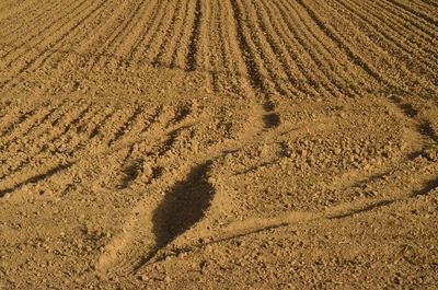 High angle view of shadow on sand