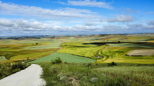 Scenic view of agricultural field against sky