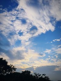 Low angle view of trees against cloudy sky