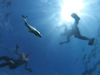 Low angle view of people swimming by fish in sea