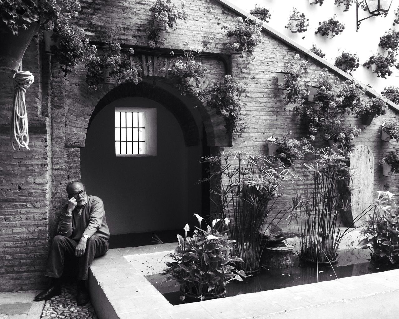 architecture, built structure, building exterior, window, house, arch, door, entrance, plant, old, wood - material, closed, day, residential structure, building, potted plant, wall - building feature, no people, brick wall, flower