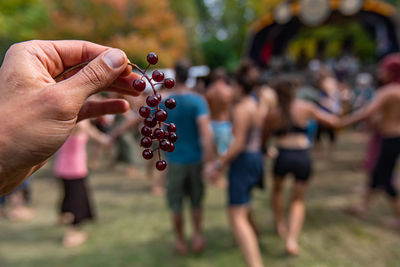 Close-up of hands holding fruits