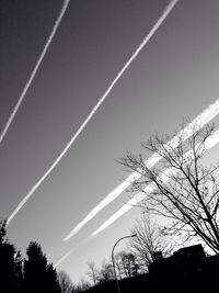 Low angle view of trees against blue sky