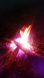 Close-up of bonfire at night