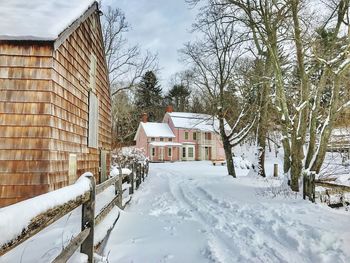 Snow covered houses and trees against sky