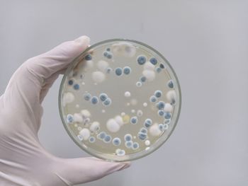 healthcare and medicine