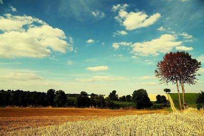Scenic view of field against cloudy sky