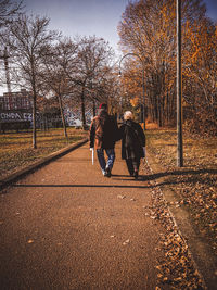 Rear view of people walking on bare trees