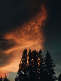 Low angle view of silhouette trees against sky during sunset