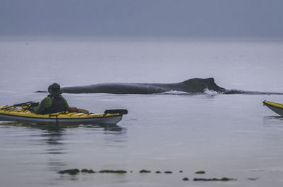 Rear view of man sitting in boat on sea