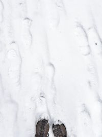 Low section of person standing in snow