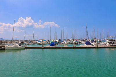 Sailboats moored in harbor