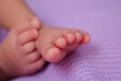 Low section of baby feet