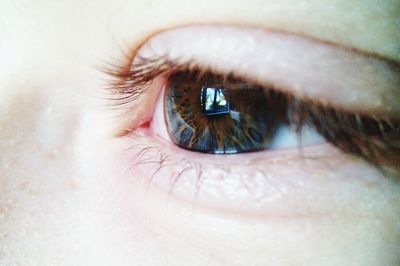 Close-up of human eye