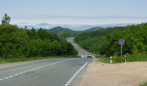 Trees by road